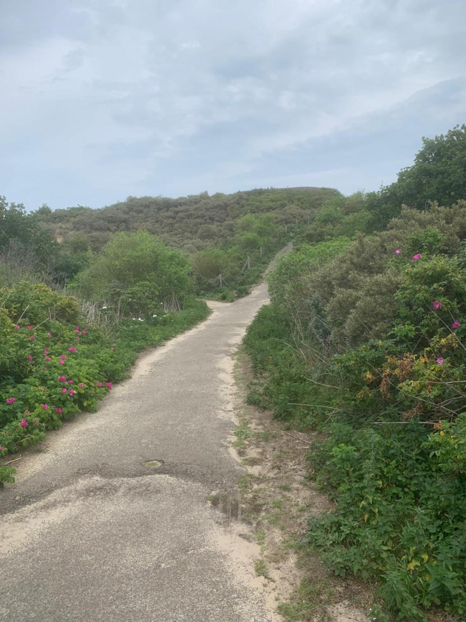 Gasthof Casa Vista Duna - Kijkduin Den Haag